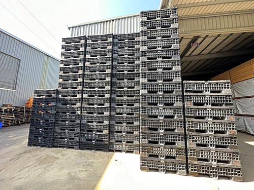 【E】中古塑膠折疊籠