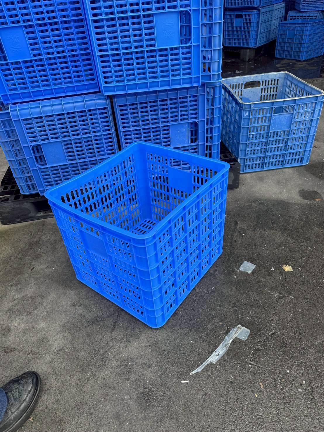 中古塑膠籃【A】TE077