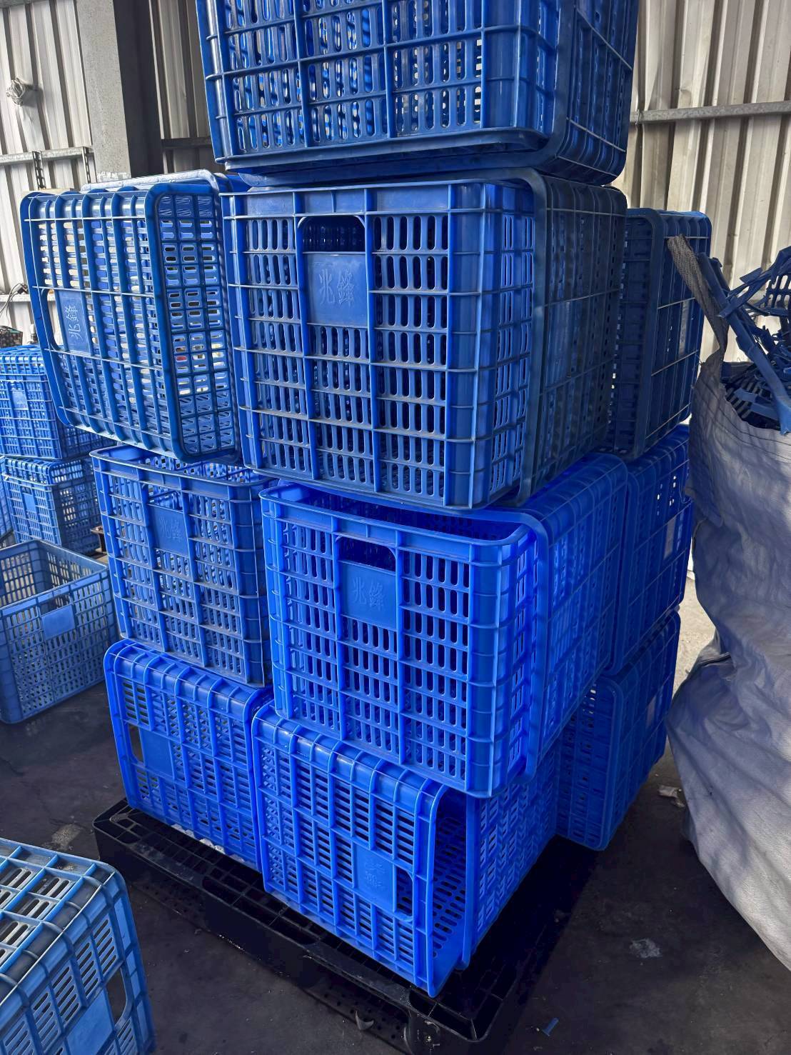 中古塑膠籃【A】TE077