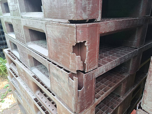 《型號:A32》中古塑膠棧板 (110*110, 100*120, 120*120)