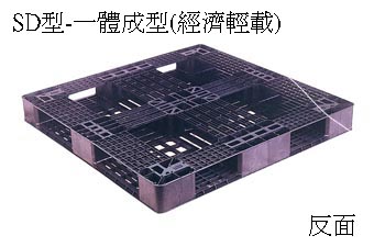 26.Z-SD 單面田字型四方插網面經濟型